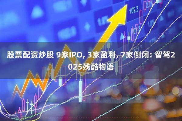股票配资炒股 9家IPO, 3家盈利, 7家倒闭: 智驾2025残酷物语