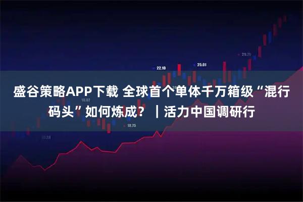 盛谷策略APP下载 全球首个单体千万箱级“混行码头”如何炼成？｜活力中国调研行